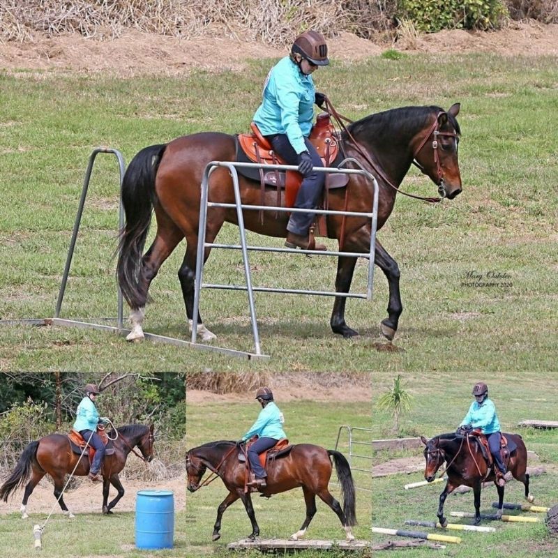 woman in equitation roaming around with her horse