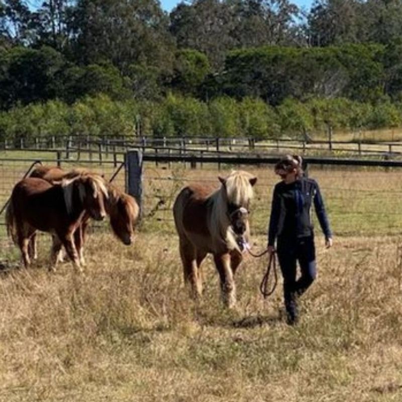 woman in equitation with three horses