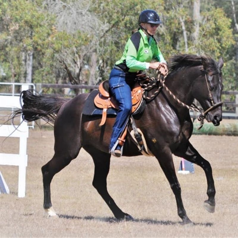 woman in her horizon jeans horse in action