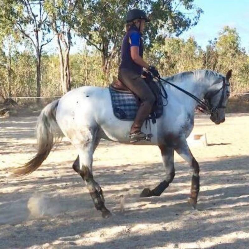 woman wearing Trainers Horse Riding Pants in action