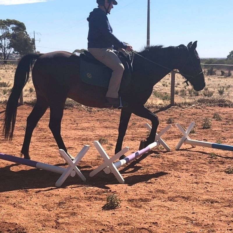 woman wearing Trainers Horse Riding Pants in wheat color