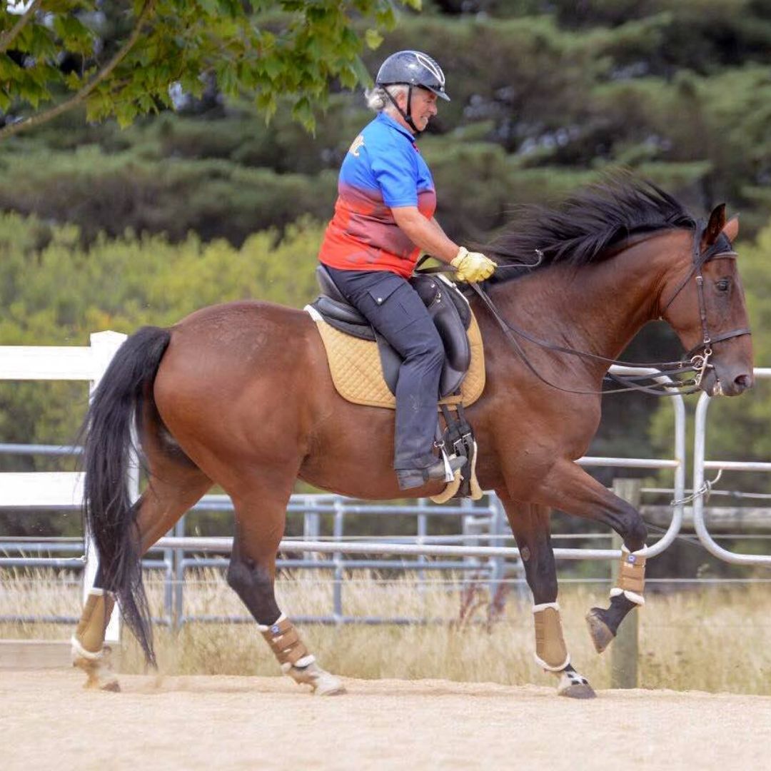 Trainers Style, Bootleg Horse Riding Pants in Navy